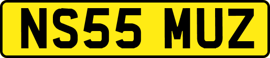 NS55MUZ
