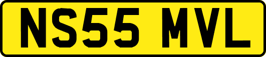 NS55MVL