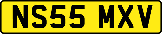 NS55MXV