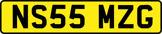 NS55MZG