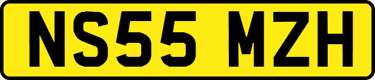 NS55MZH