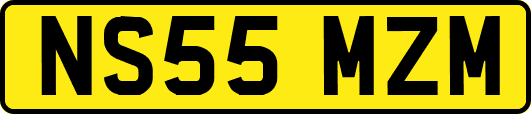 NS55MZM
