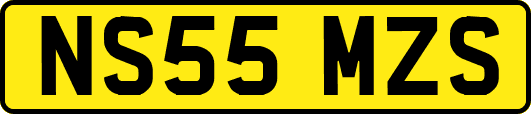 NS55MZS