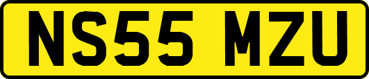 NS55MZU