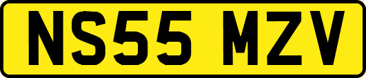 NS55MZV