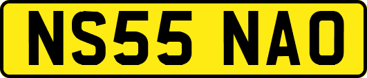 NS55NAO