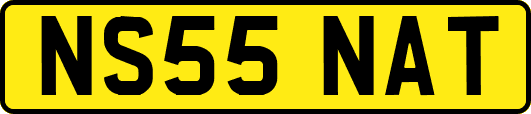 NS55NAT