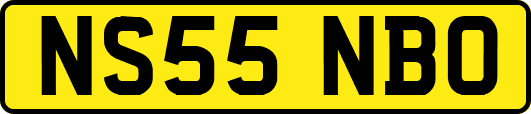 NS55NBO