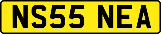 NS55NEA