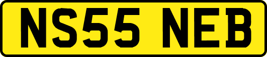 NS55NEB