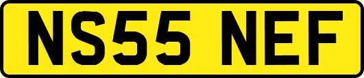 NS55NEF