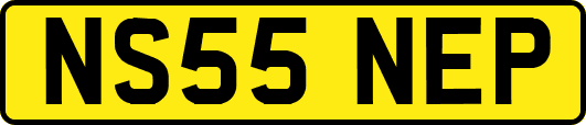 NS55NEP