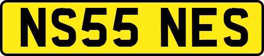 NS55NES