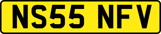 NS55NFV