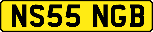 NS55NGB
