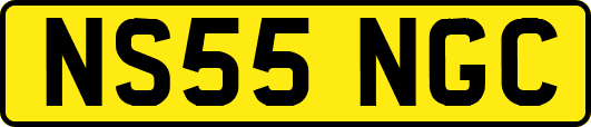 NS55NGC