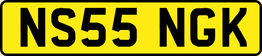 NS55NGK