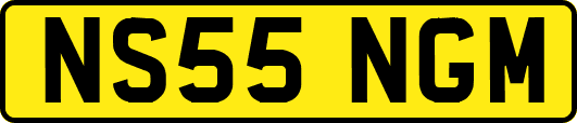NS55NGM