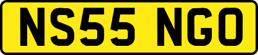 NS55NGO