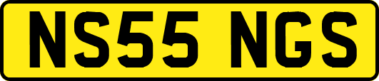 NS55NGS