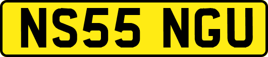 NS55NGU