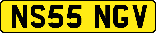 NS55NGV