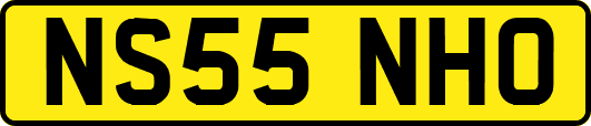 NS55NHO