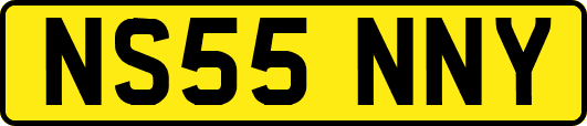 NS55NNY