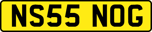 NS55NOG