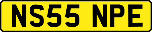 NS55NPE
