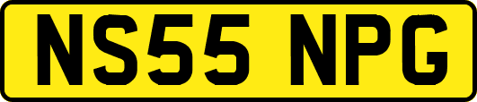 NS55NPG