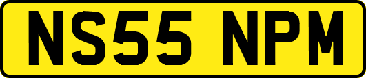 NS55NPM