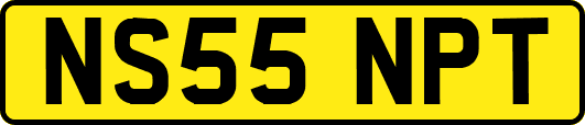 NS55NPT