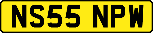 NS55NPW