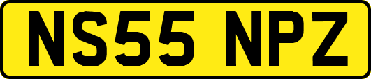 NS55NPZ