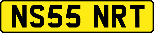 NS55NRT