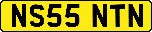 NS55NTN