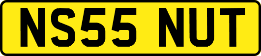 NS55NUT