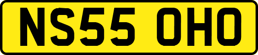 NS55OHO