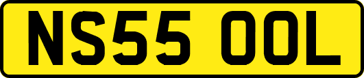 NS55OOL