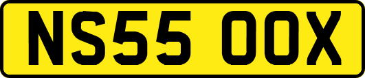 NS55OOX