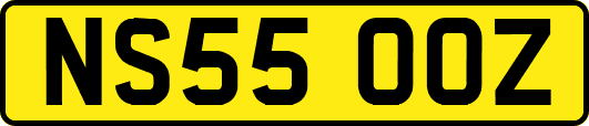 NS55OOZ