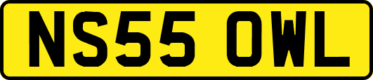 NS55OWL