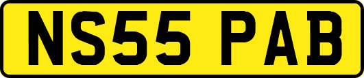 NS55PAB