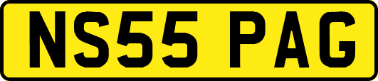 NS55PAG