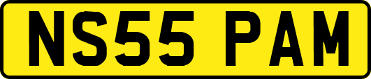 NS55PAM