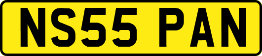 NS55PAN