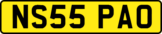 NS55PAO