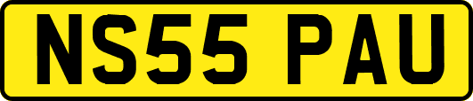 NS55PAU