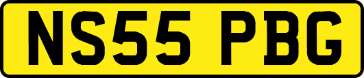 NS55PBG